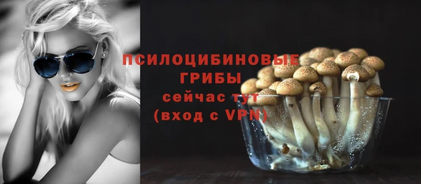 круглые Краснослободск